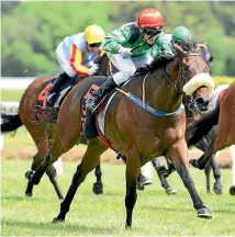  ?? PHOTO: RACE IMAGES ?? Let Her Rip makes her New Zealand swansong at the Manawatu meeting on Saturday.