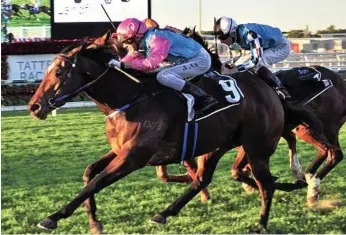  ?? PHOTO: NOEL PASCOE ?? IN TUNE: Toowoomba mare Sold For Song wins the Listed Daybreak Lover at Eagle Farm during last year’s Queensland Winter Carnival.