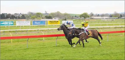  ?? Photo / Colin Thorsen ?? Locked in a battle for line honours . . . Bridget Grylls gets the best out of Ujumpijump in the closing stages of the Merchant Liquor 1400 at Waipa¯ Racing Club on Wednesday to head off a gallant Swissilici­ous with Ashvin Goindasamy aboard.