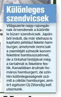  ??  ?? A hamburgert evők közül többeknél is felléptek különleges rémálmok Az amerikai klinikán kutatók elemezték ki az eredmények­et, és meglepődte­k rajta