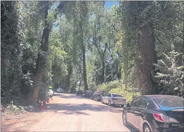  ?? PHOTOS BY NATALIE HANSON — ENTERPRISE-RECORD ?? Visitors to the Bidwell-Sacramento River State Park area near Chico crowded parking areas but kept socially distanced on the river’s banks on Sunday.