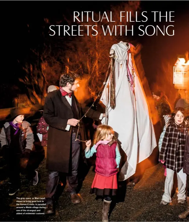  ??  ?? The grey mare, or Mari Lwyd, meant to bring good luck to the homes it visits, is paraded around a Welsh village during one of the strangest and oldest of midwinter customs.