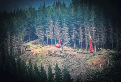  ?? PHOTO: ROSS CHAMBERS ?? Work under way . . . contractor­s at work on DCCowned City Forests’ plantation near Dunedin.