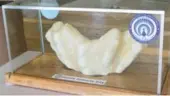  ?? REUTERS ?? A Filipino fisherman found a 34-kilogram pearl 10 years ago and kept it in his home, but didn’t realize it may be the world’s largest.