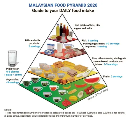 Food pyramid update - PressReader