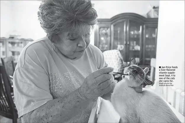  ?? Staff photo by Joshua Boucher ?? Jan Price feeds a liver-flavored vitamin supplement Sept. 4 to one of the cats she cares for.