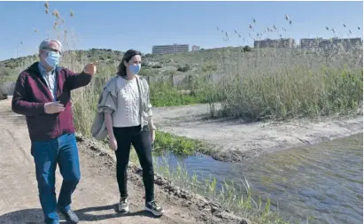  ?? Photo: Elche city hall ?? A crake can be seen at the Clot