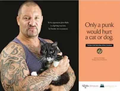  ?? COURTESY ?? Baltimore MMA fighter John Rallo shows off his soft side in a public service campaign aimed at preventing animal cruelty.