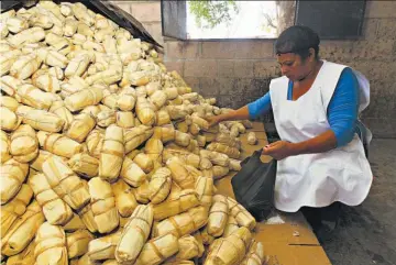  ??  ?? Proceso. Durante el evento se mostró a los asistentes todo el proceso de producción de la panela, desde que se saca el jugo de la caña en la molienda hasta la elaboració­n de los dulces de atado.