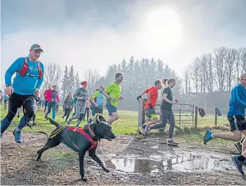  ?? ?? UPGRADE: Improvemen­ts to the Forfar Loch paths will benefit the regular parkrunner­s.