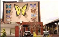  ??  ?? French muralist Youri “Mantra” Cansell painted native butterflie­s at 400 President Clinton Ave. in Little Rock for the OZ Art ARkanvas project.
