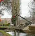  ?? Foto: M. Hochgemuth ?? Die Baumfällun­gen am Herrenbach stießen auf Widerstand unter Anwohnern und Naturschüt­zern.