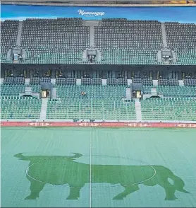  ?? FOTO: J.A. GARCÍA SIRVENT ?? El icónico toro de Osborne, en el círculo central del estadio de Krasnodar