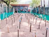  ??  ?? El nido. El vivero es parte de un proyecto para la conservaci­ón de la tortuga marina, ejecutado por FIAES en la costa oriental y que contempla otro vivero en la playa El Icacal y uno en El Cuco, en Chirilagua, San Miguel.