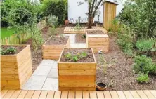  ?? ?? For this new permacultu­re garden, a lawn was replaced by raised beds, berry bushes, wild fruit, herbs, paths and seating areas.