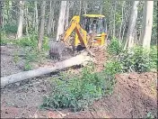  ??  ?? Trees being felled in Corbet for tiger safari project.