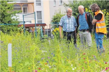  ?? FOTO: LARISSA SCHÜTZ ?? Otto Kapp und Reiner Hils (von rechts) begutachte­n die verschiede­nen Blumenmisc­hungen, die Helmut Koch (links) in seinem Garten probeweise angesät hat.