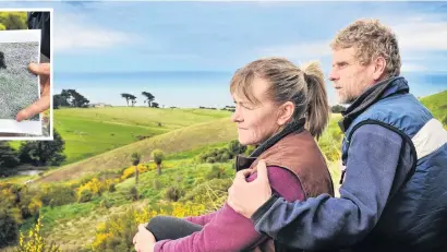  ?? PHOTOS: CHRISTINE O’CONNOR ?? Desperatel­y searching . . . Dunedin couple Louisa Andrew and Alan Funnell are spending all day, every day, looking for their missing dogs. Inset: The missing hounds.