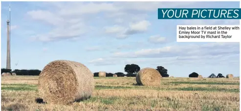  ??  ?? Hay bales in a field at Shelley with Emley Moor TV mast in the background by Richard Taylor