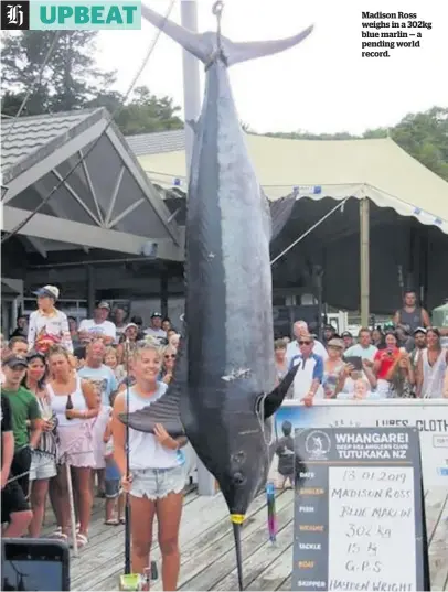  ??  ?? Madison Ross weighs in a 302kg blue marlin — a pending world record.