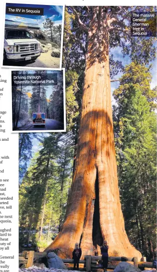  ??  ?? The RV in Sequoia Driving through Yosemite National Park The massive General Sherman tree in Sequoia