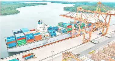 Homegrown RE group unveils P3-B project - PressReader