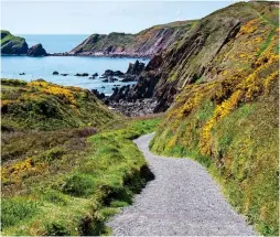  ??  ?? RUGGED GLORY: The Pembrokesh­ire Coastal Path at Marloes Sands