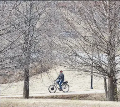  ?? File photo/NWA Democrat-Gazette ?? A rider pedals along the Razorback Greenway last February. Limits of cold-weather biking vary from rider to rider.