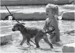  ??  ?? Ally Brewer splashes with a puppy in the waters of the newly created San Pedro Springs Culture Park on May 8.