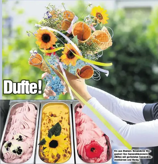 So Kommt Die Blume Ins Eis Pressreader