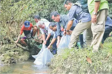  ??  ?? (From third left) Masing, Aaron and Alexander release fish fry into Sungai Pang during the launching of the ‘Tagang’ system.