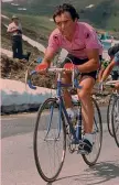  ?? ?? Epico Bernard Hinault al Giro 1982