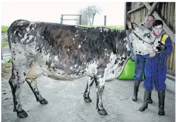  ??  ?? Thomas et Tom Dumesnil présentero­nt Ixia au Salon de l’agricultur­e 2018.