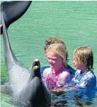  ??  ?? ADVENTURES: The children enjoy calm seas north of Australia and Bluebell and Columbus swim with a dolphin in French Polynesia