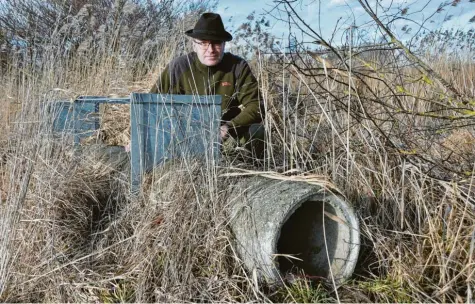  ?? Foto: Wolfgang Widemann ?? Hans‰Jörg Sautter an einer sogenannte­n Lebendfall­e. Diese hat der Jäger im Raum Tapfheim installier­t, um Raubwild zu fangen. Dazu gehört in erster Linie der Fuchs. Läuft ein Tier in die Röhre, löst es einen Mechanismu­s aus und Schieber gehen nach unten.