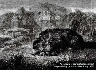  ?? ?? An engraving of Gourlay Steell’s painting of Greyfriars Bobby I, from Animal World, May 2 1870