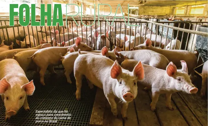  ?? ?? Especialis­ta diz que há espaço para cresciment­o do consumo da carne de porco no Brasil