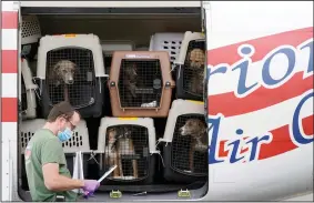  ?? (AP/The Berkshire Eagle/Ben Garver) ?? A plane from Mobile, Ala., loaded with several dozen dogs arrives Wednesday at Pittsfield Municipal Airport in Pittsfield, Mass., ahead of Hurricane Delta. The storm battered the Yucatan peninsula and weakened to a Category 1 storm but is expected to regain strength as it barrels toward the Gulf Coast.