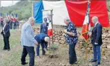  ??  ?? Un olivier planté par le nouveau délégué général Gilles Glin qui a remplacé Jean-Marie Barbiche