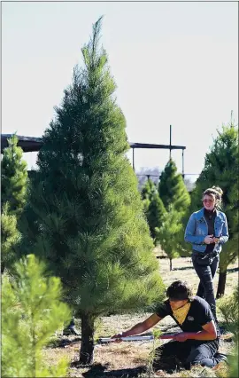  ?? JOEL ROSENBAUM — THE REPORTER ?? Under the wutchful eyes of his sister, Tuylor, 24 (reur); Guvin Anderson, 18 of ucuville uses u suw to cut down ut tree Friduy during the opening duy of the Silveyvill­e Christmus Tree Furm in Dixon. According to their mother, Kuren, the Andersons huve been coming to the furm for their holiduy tree since Guvin wus un infunt.