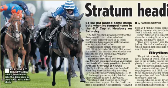  ??  ?? EASY DOES IT: Robert Winston thinks Stratum will take the drop back in distance at York in his stride