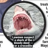  ?? ?? Lawmen suspect a shark of the bloody deed — or a crocodile