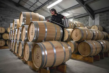  ?? — AFP photos ?? De Bouard checks barrel levels of her “Prince Oscar” wine which will go through a dealcoholi­zation process, in Montagne, near Saint-Emilion, south-western France.