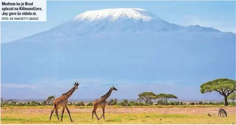  ?? FOTO: XIE HAN/GETTY IMAGES ?? Medtem ko je Brad splezal na Kilimandža­ro, Joy gore še videla ni.