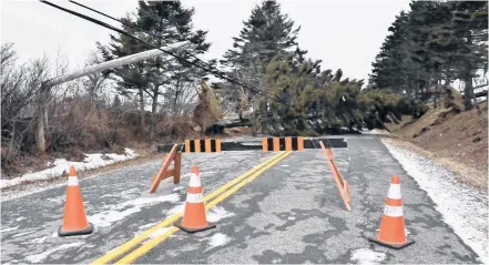  ?? TINA COMEAU ?? A section of the Main Shore Road in Yarmouth County was left impassible by several downed trees that pulled down power lines and poles as a result of the strong winds last Friday.