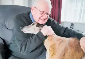  ?? ?? Allen Little with his trusty companion dog, retired racing greyhound Gable, who loves visitors.