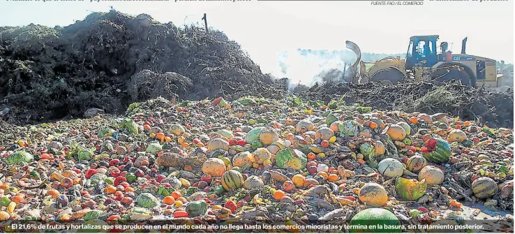  ??  ?? • El 21,6% de frutas y hortalizas que se producen en el mundo cada año no llega hasta los comercios minoristas y termina en la basura, sin tratamient­o posterior.