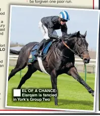  ??  ?? Flying EL OF A CHANCE: Elarqam is fancied in York’s Group Two