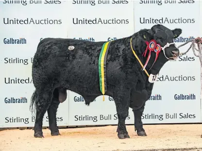  ?? Pictures: Wullie Marr. ?? Overall champion in the Aberdeen-Angus contest was Blelack Dakota.