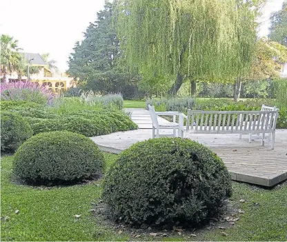  ??  ?? Con forma redondeada. En primer plano se ubican dos buxus podados (María Mulieri)